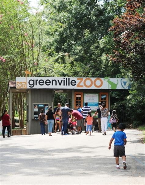 Greenville zoo greenville sc - Greenville, SC 29601 Phone: 864-467-4300. Accredited by [] Skip to Main Content. Loading. Loading Do Not Show Again Close. Purchase Tickets ... Open Interviews will be held at the Greenville Zoo (150 Cleveland Park Dr.) on Thursdays, March 9th and 16th. Applicants should come to the front gate of the Greenville Zoo at 11:00 am. Internships.